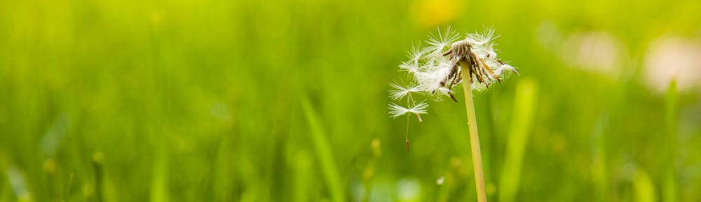 MatthewRasnake.com Blog